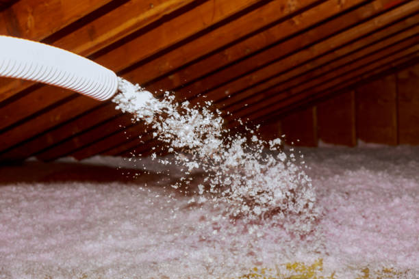 Best Residential Insulation Services  in Port Allegany, PA