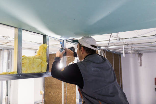 Best Attic Insulation Installation  in Port Allegany, PA