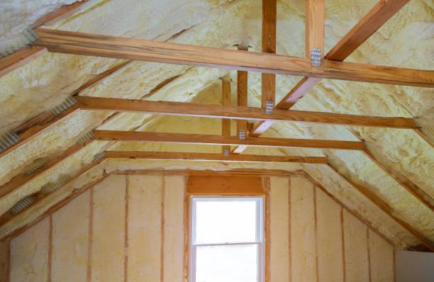Best Insulation Contractors for Homes  in Port Allegany, PA
