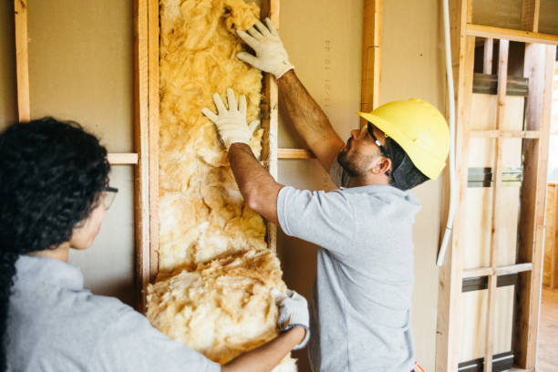 Insulation for New Construction in Port Allegany, PA