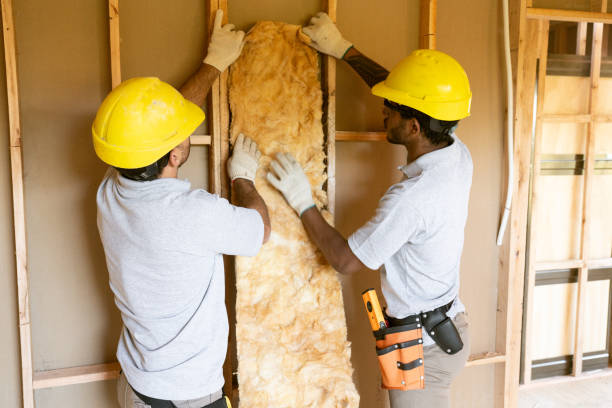 Best Insulation for New Construction  in Port Allegany, PA