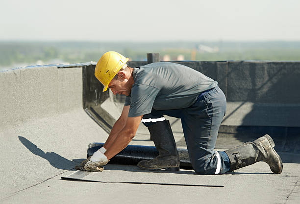 Best Home Insulation Services  in Port Allegany, PA