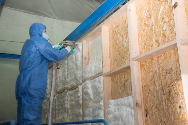 Best Local Insulation Services  in Port Allegany, PA